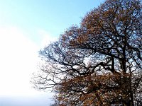 Jan13gate  Winter field gateway, near Blagdon