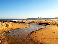 March13Embleton  Embleton Burn with Dunstanburgh Castle in the distance
